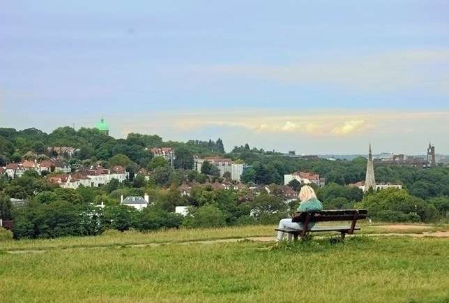 Hampstead Heath