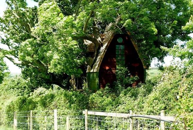 Casa na Árvore
