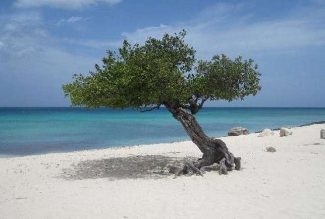 Eagle Beach
