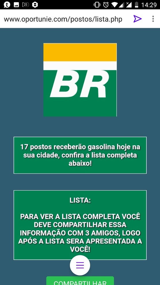 fraudegasolina1