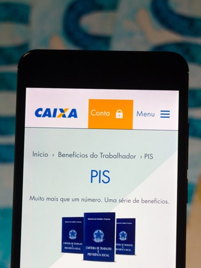 consultar o pis