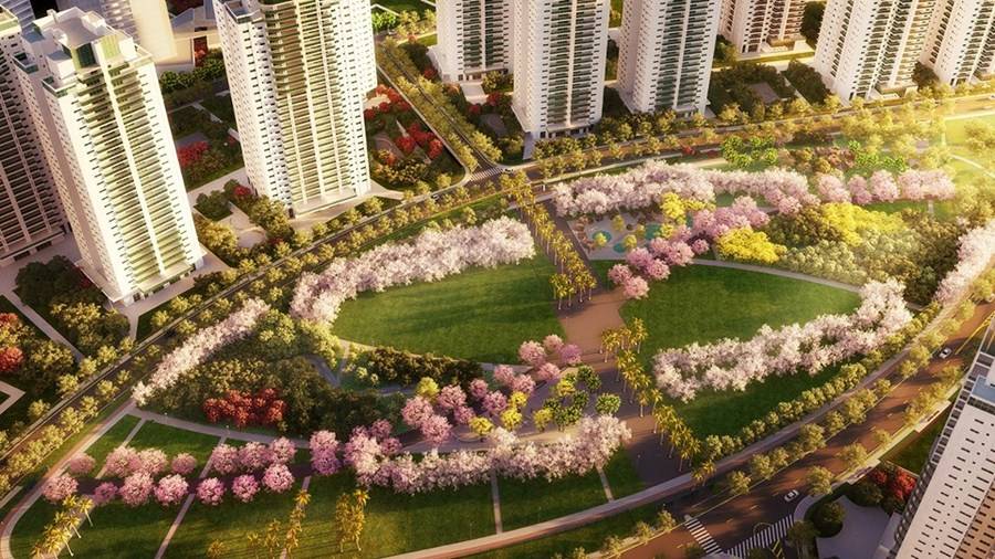 Imagem da matéria