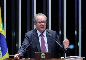 José Aníbal, presidente do diretório municipal do PSDB em São Paulo (Foto: Agência Senado)