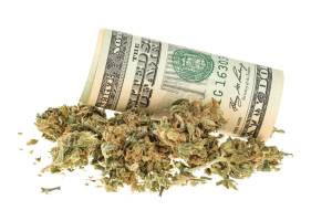 Planta Cannabis com nota de dólar (Shutterstock)