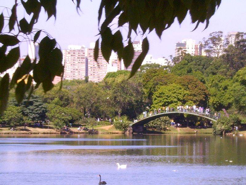 Imagem da matéria