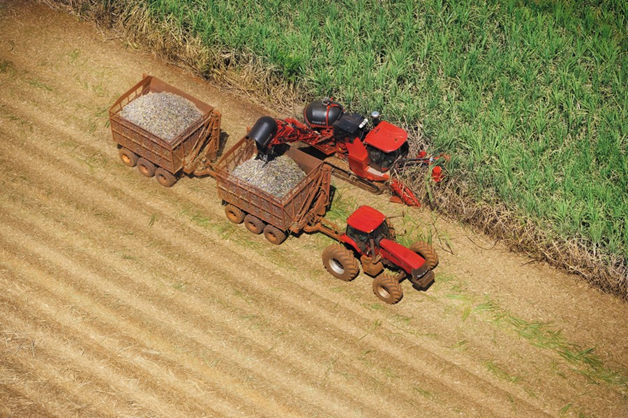 Lucro da São Martinho cai 20,6% no 3º tri de 20/21; venda e