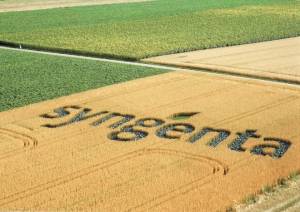 Syngenta Group, gigante de insumos agrícolas, tem forte queda nas vendas