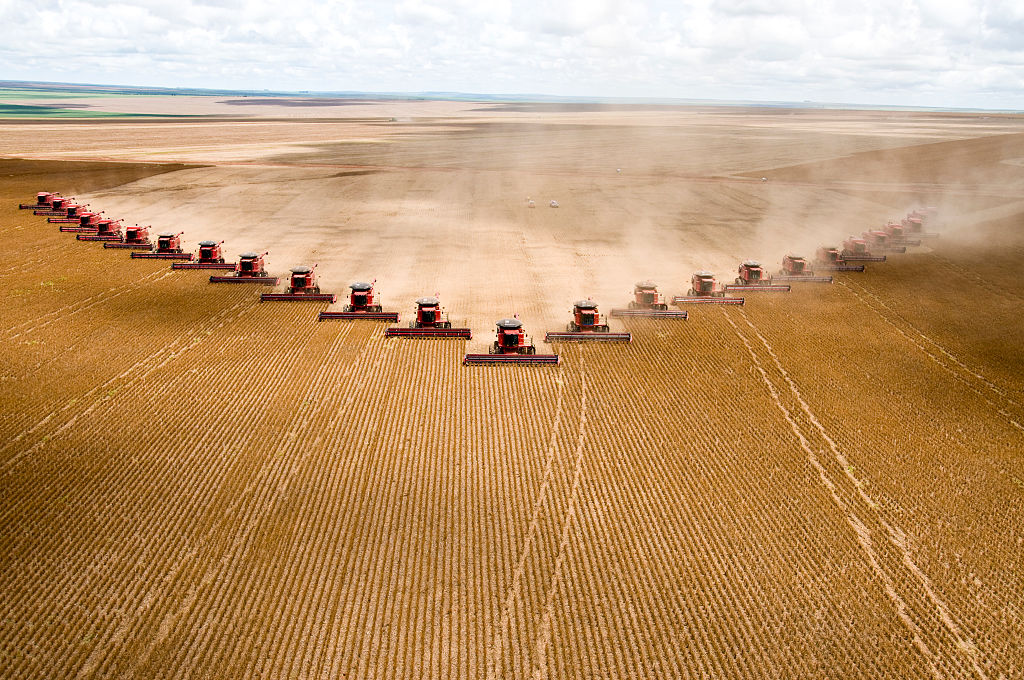 Plantação de soja em Mato Grosso; Agronegócio
