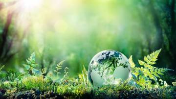 Globe On Moss In Forest - Environment Concept - redução de carbono - economia