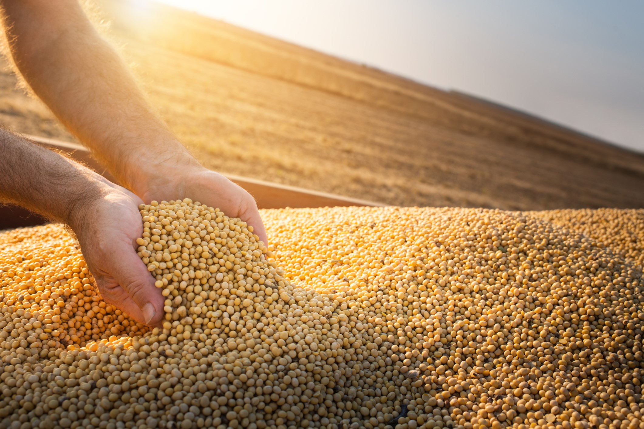 Com preços em alta, commodities vão alavancar receitas de exportações