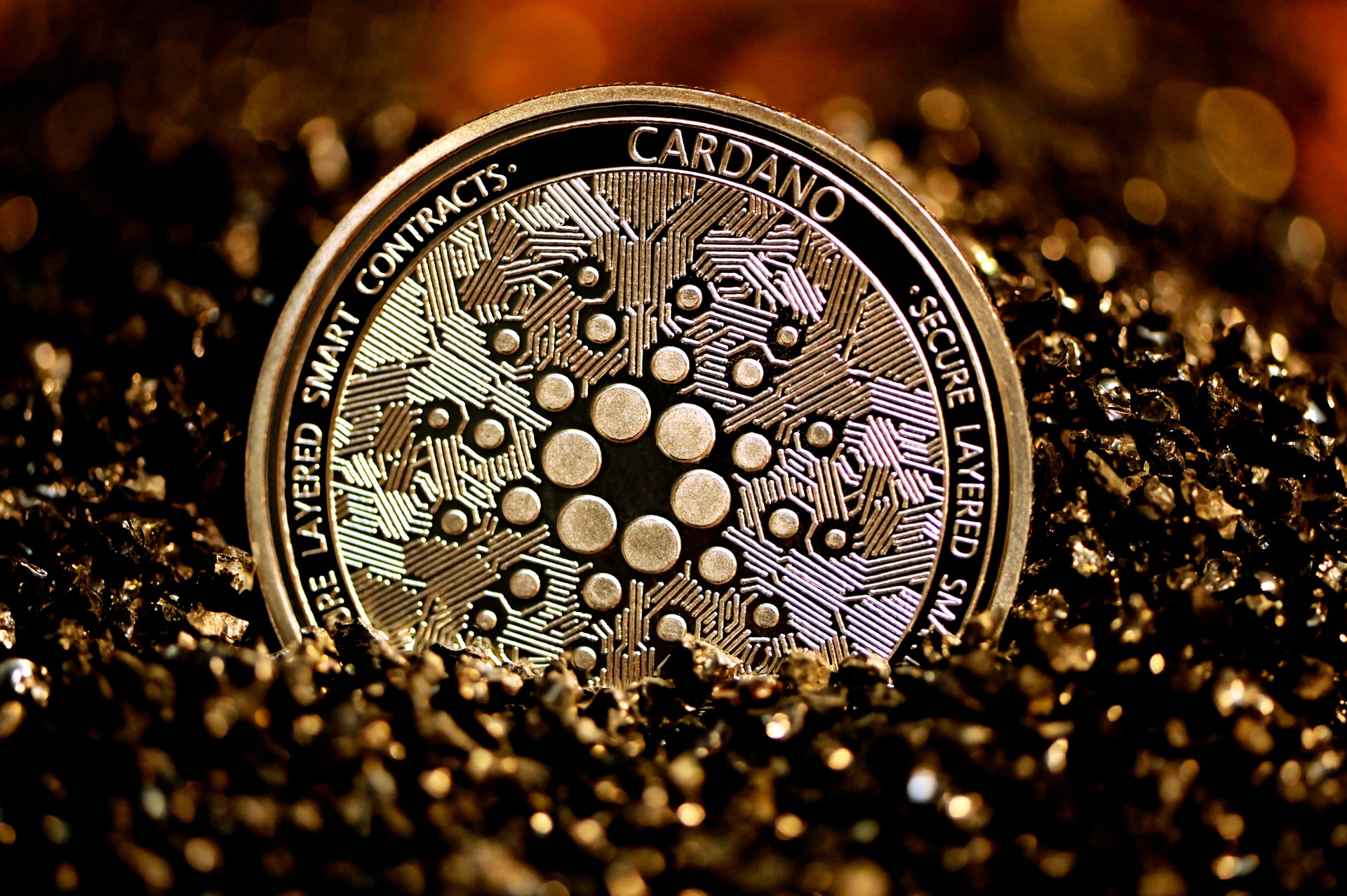 Cardano dispara 20% e bate máxima histórica; Bitcoin encosta em US$ 49 mil – Criptomoedas hoje