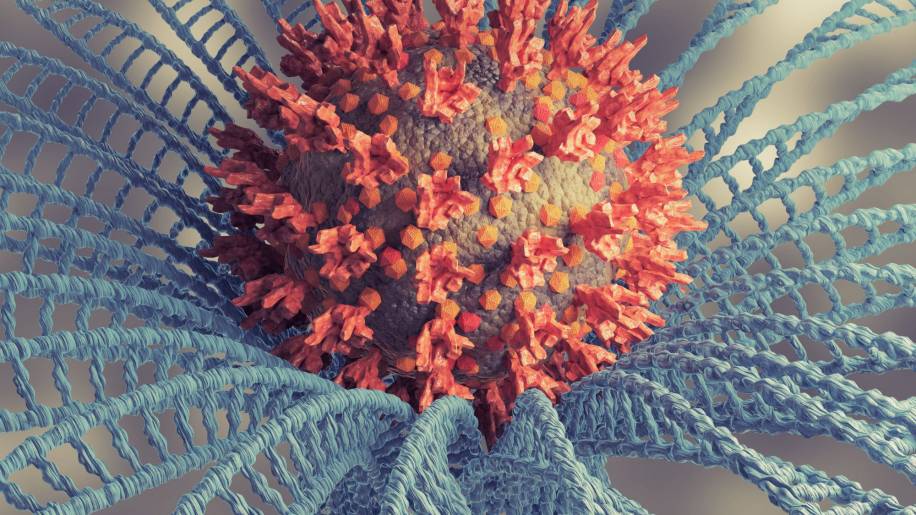 Foto de stock de visualização microscópica coronavirus variante omicron ou B.1.1.529