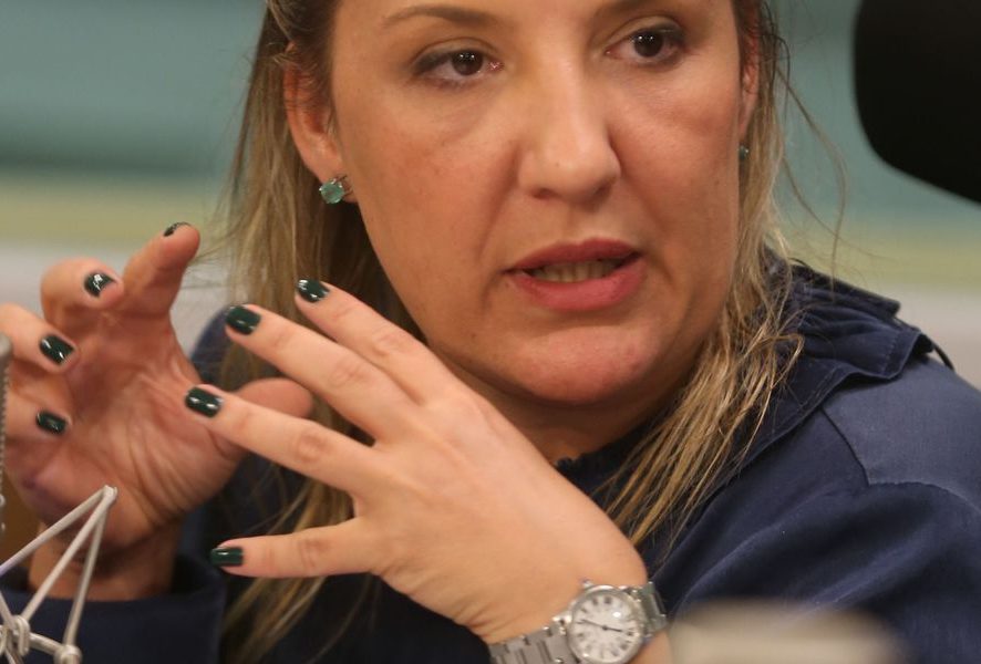 Daniella Marques Consentino (Foto: Valter Campanato/Agência Brasil)