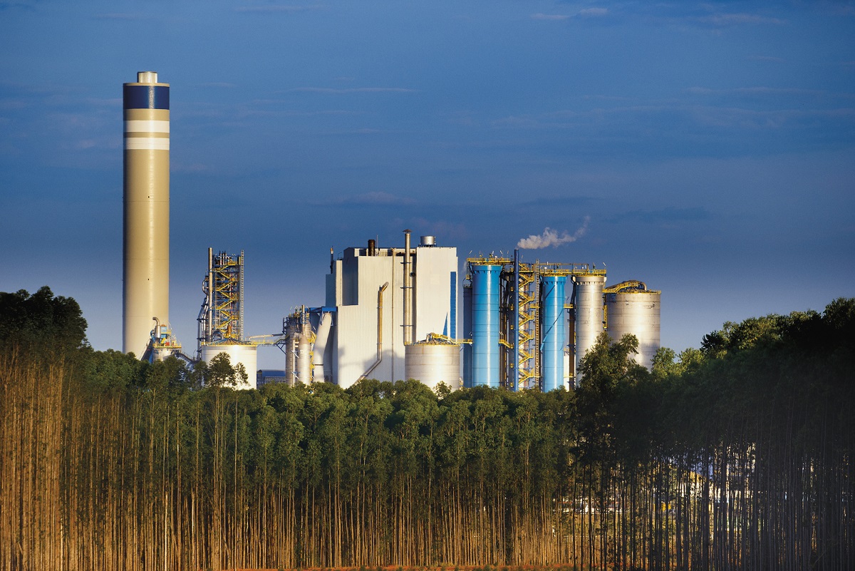 Imagem Divulgação Suzano