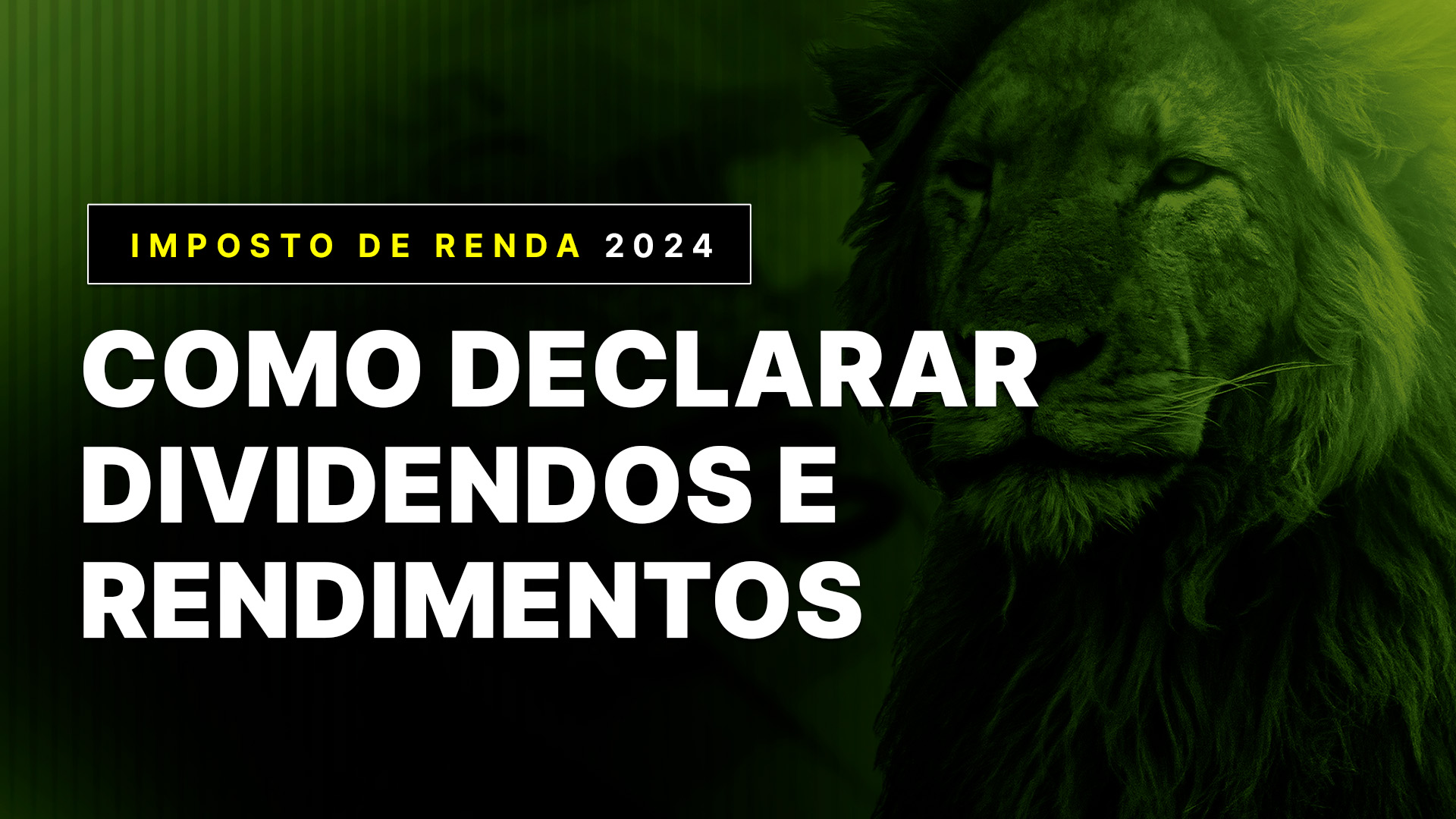 Como declarar dividendos no Imposto de Renda 2024