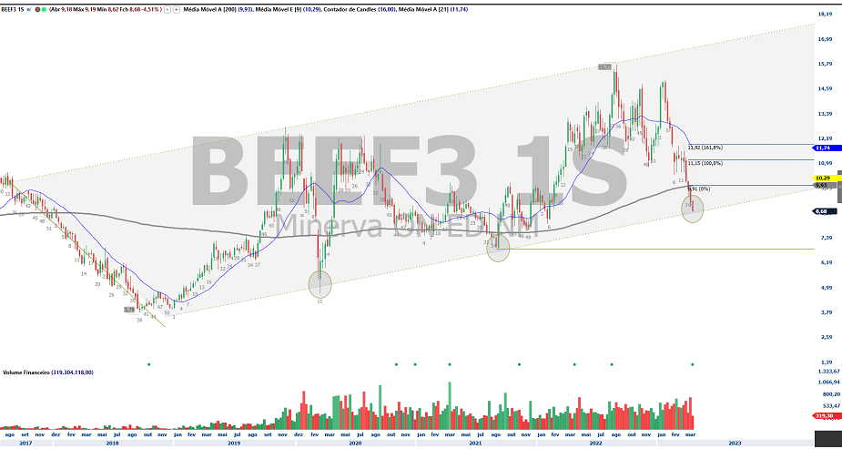 Análise de ações; análise técnica; MRFG3; JBSS3; BEEF3; swing trade