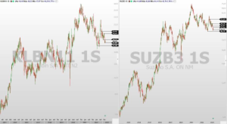 Análise de ações; análise técnica; SUZB3; KLBN11; swing trade