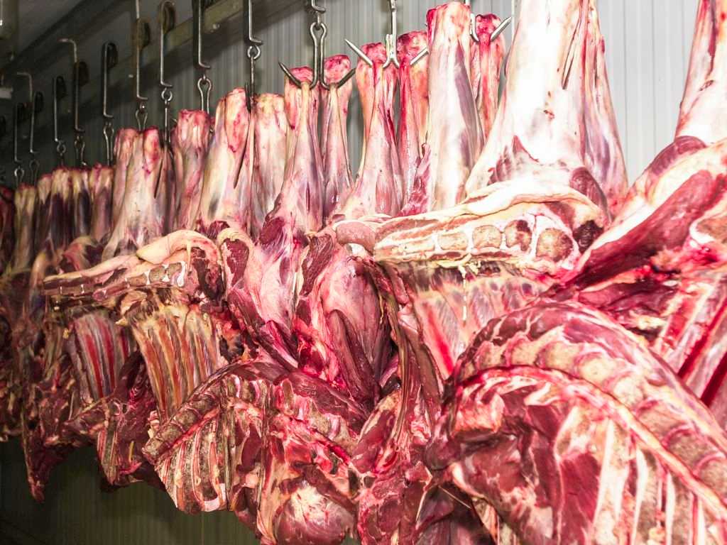 Carne fresca,Açougues, Frigoríficos, alimento (Marcello Casal Jr/Agência Brasil)