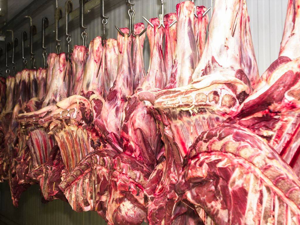 Carne fresca,Açougues, Frigoríficos, alimento (Marcello Casal Jr/Agência Brasil)