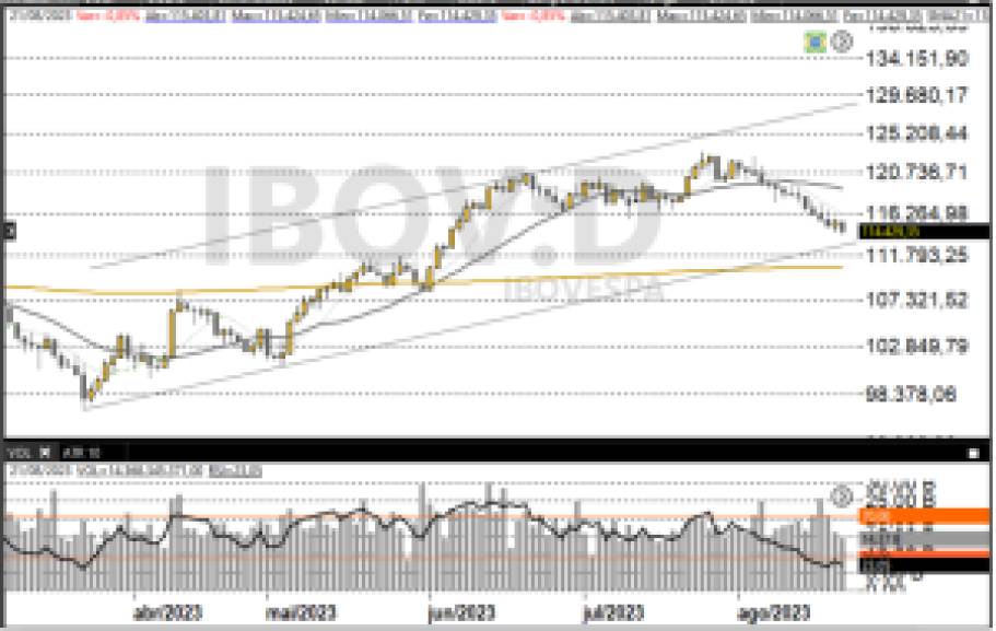 Ibovespa 22/08