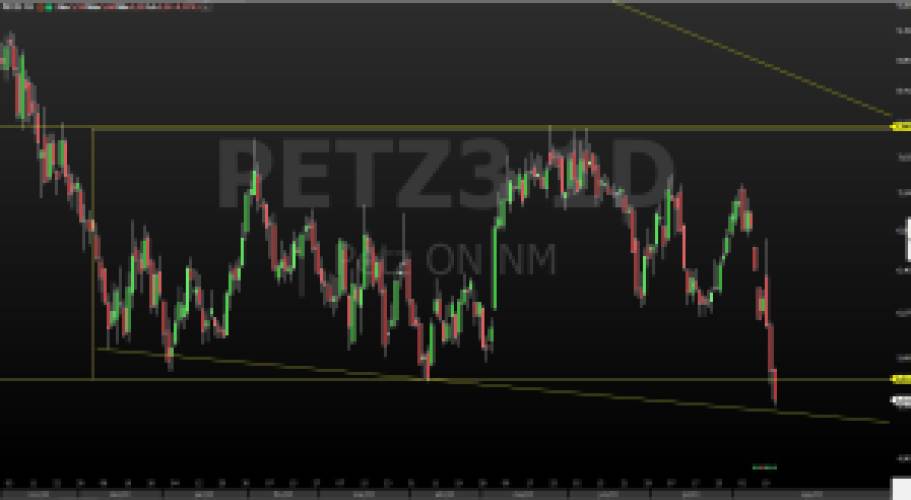PETZ3; Petz; análise técnica; análise gráfica; swing trade; day trade; trade hoje