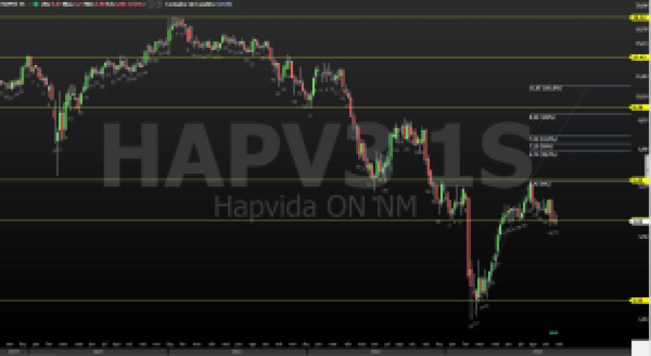 HAPV3; hapvida; análise técnica; análise gráfica; análise fundamentalista; swing trade; buy and hold