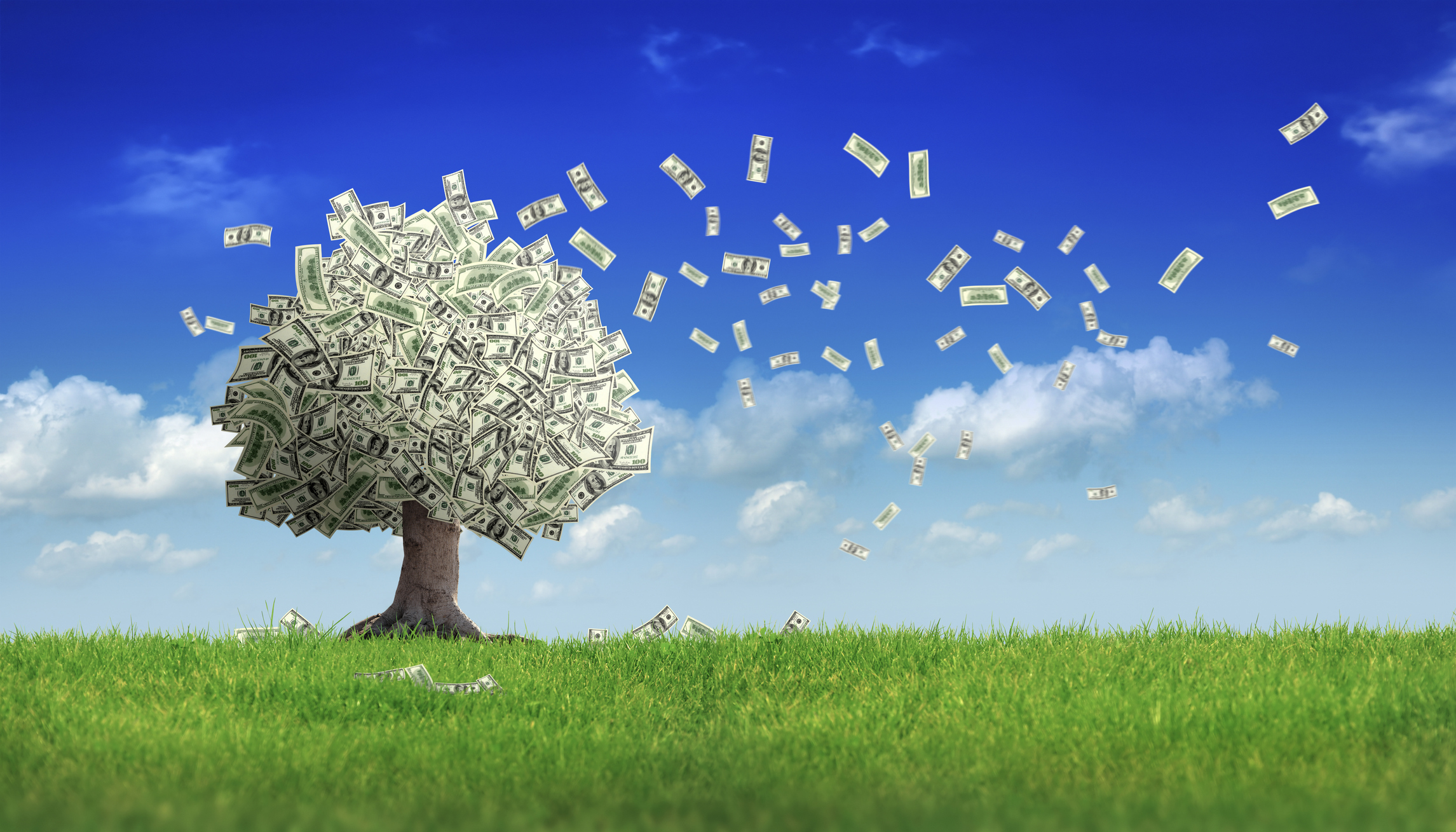 Investidor ignora ESG, mas “inflação verde” começa a impulsionar retornos:  “Faça pelo seu dinheiro”