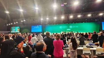 Delegados na COP28 aplaudem acordo para o compromisso de transição dos combustíveis fósseis (Nayla Razzouk/Bloomberg)