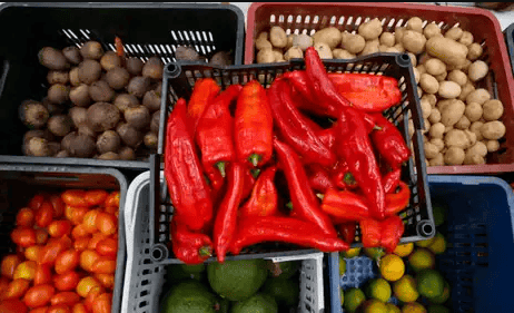 Alimentos orgânicos (Foto: Paulo Pinto/ Agência Brasil)