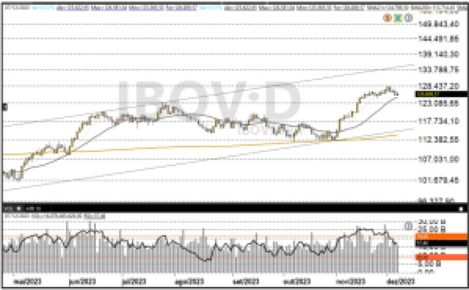 Ibovespa 08-12
