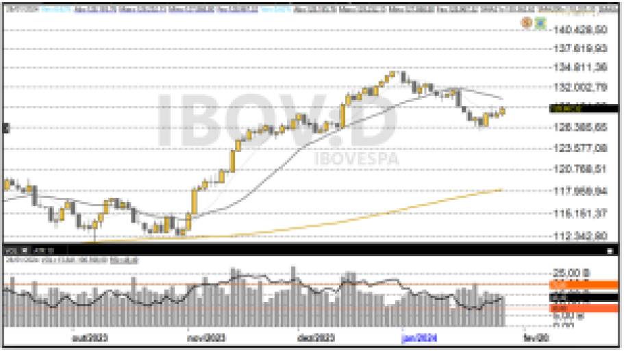 Ibovespa 29-01