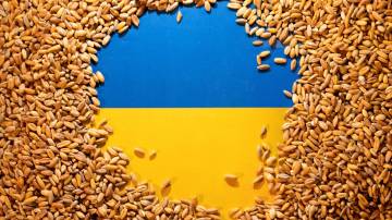 llustração mostra bandeira ucraniana e grãos 9/5/2022 REUTERS/Dado Ruvic