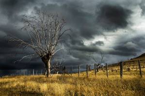 Tempestade no campo (Foto: Pexels)
