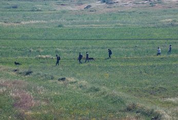 Colonos israelenses em busca de jovem que foi encontrado morto na área próxima à vila de al-Mughayyer - 13/04/2024 (Reuters /Mohammed Torokman)
