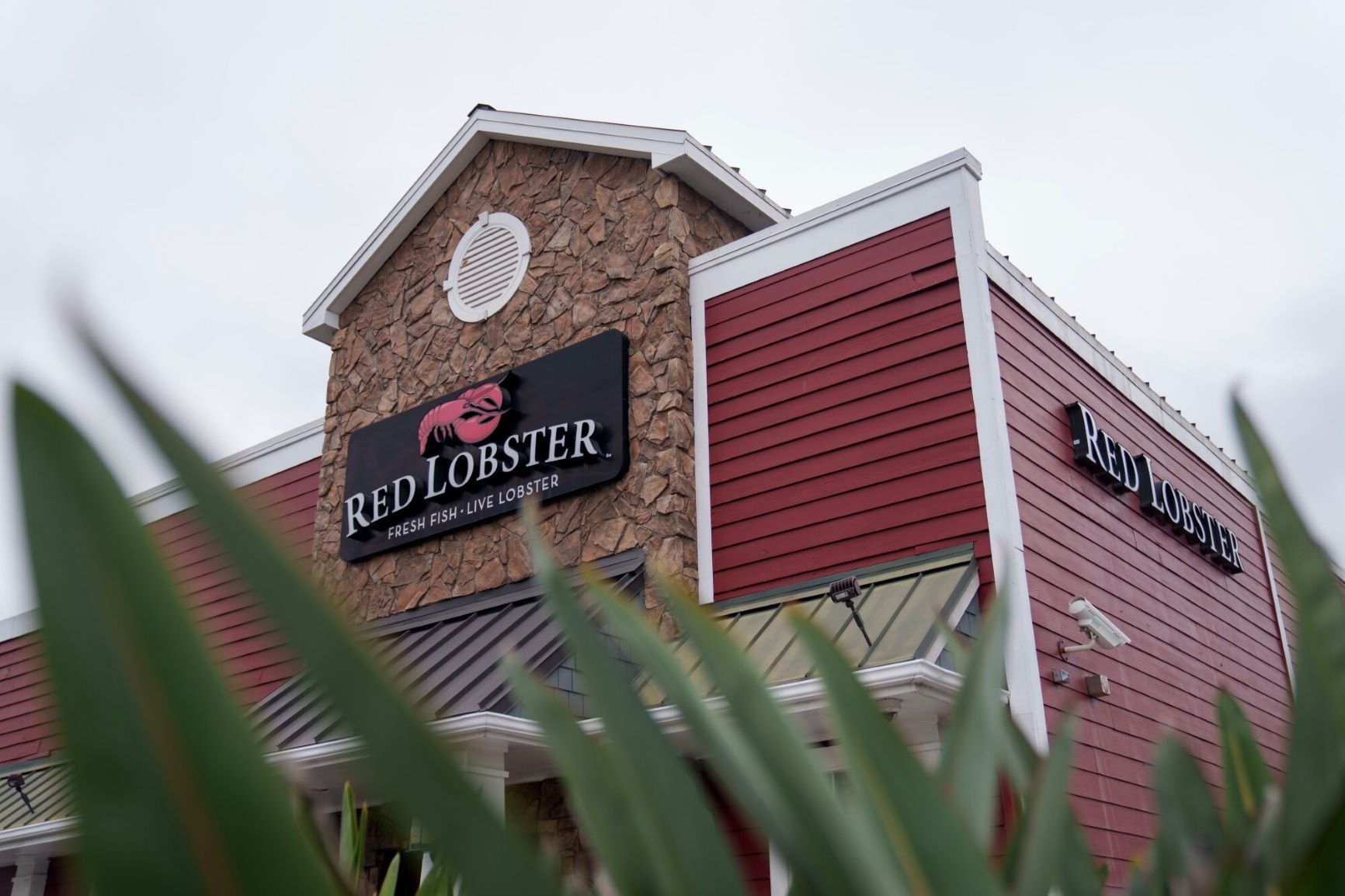 La cadena de restaurantes Red Lobster se declara en quiebra en Estados Unidos