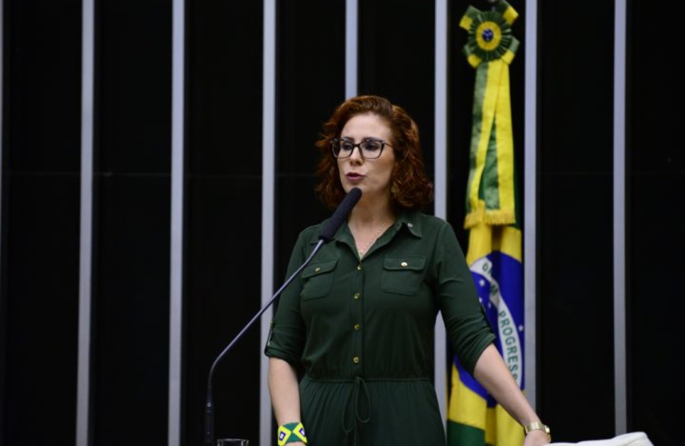 Carla Zambelli, deputada federal pelo PL de São Paulo (Foto: Nilson Bastian/Câmara dos Deputados)