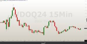 WDOQ24 09.07