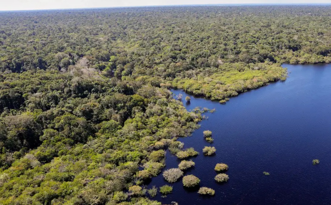Floresta Amazônica (Foto: Fabio Rodrigues-Pozzebom/Agência Brasil)