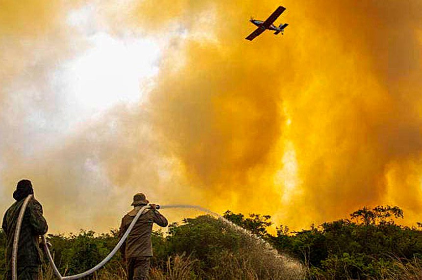 Pantanal vem sofrendo com incêndios e queimadas (Foto: Divulgação/Corpo de Bombeiros Militar MS)
