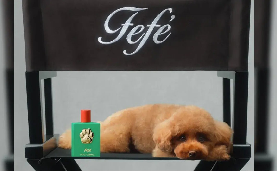 Dolce&Gabbana Fefé (Foto: Divulgação/ D&G)