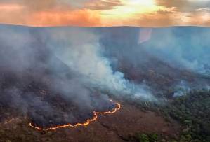 Diversas regiões do Brasil vêm sendo atingidas por queimadas (Foto: CBMGO/Divulgação)