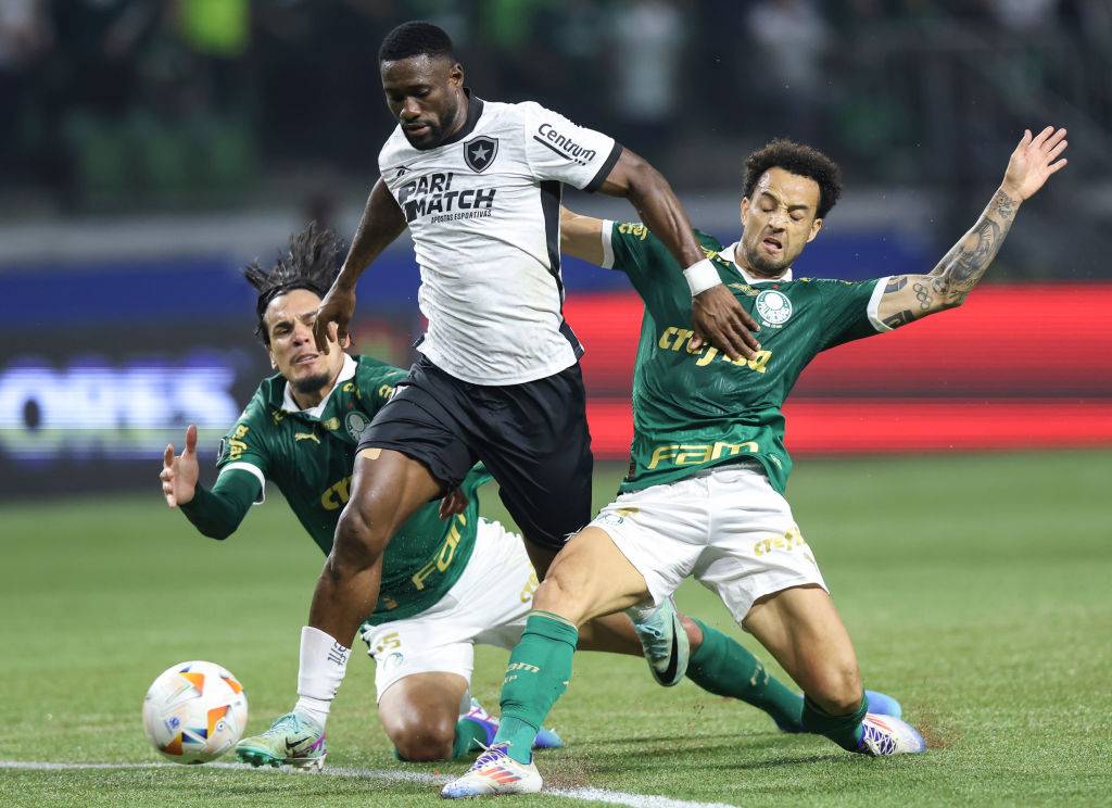 Onde assistir Palmeiras x Botafogo pelo Campeonato Brasileiro nesta terça?