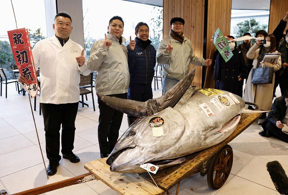 Um atum bluefin de 276 kg, leiloado por US$ 1,3 milhão, foi comprado em conjunto pelo operador de restaurantes de sushi Onodera Group e pelo atacadista Yamayuk (Kyodo/via REUTERS)