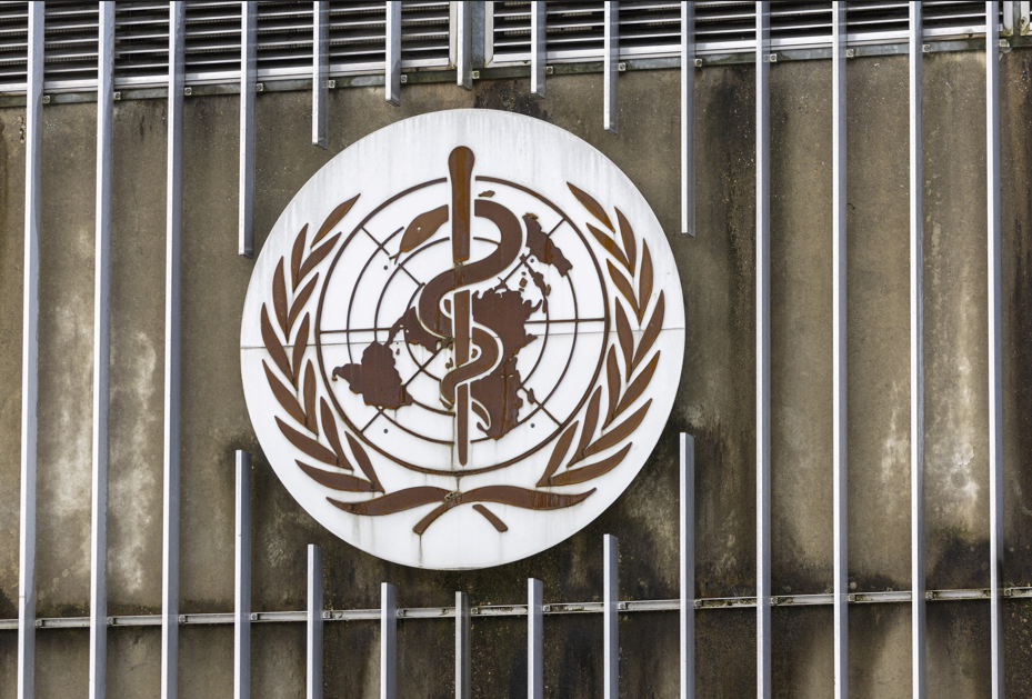 Chefe da OMS se preocupa com velocidade e escala do surto de Ebola