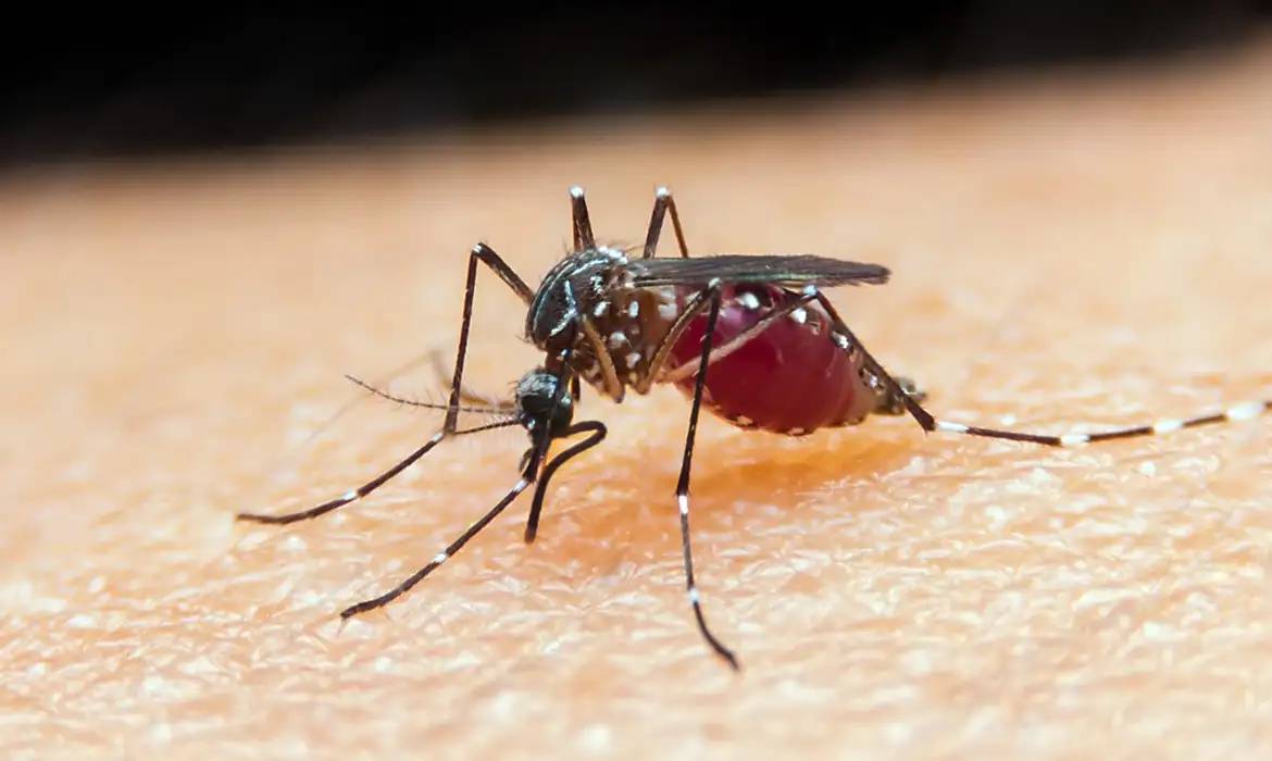 Paciente monitorado por suspeita de ebola no Rio testa positivo para malária