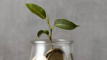 front-view-hand-adding-coin-jar-with-plant-other-coins