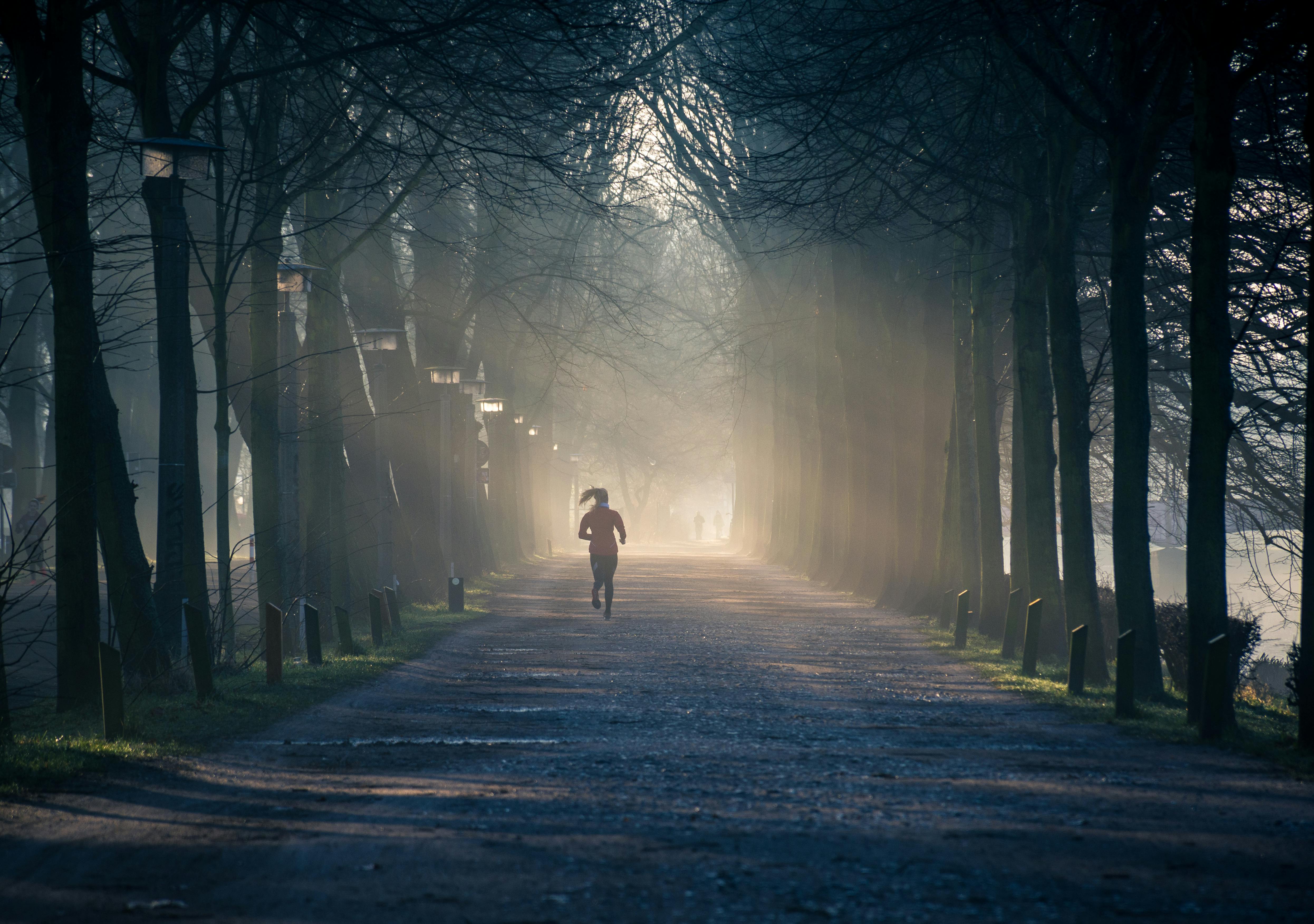 Philip Ackermann via Pexels