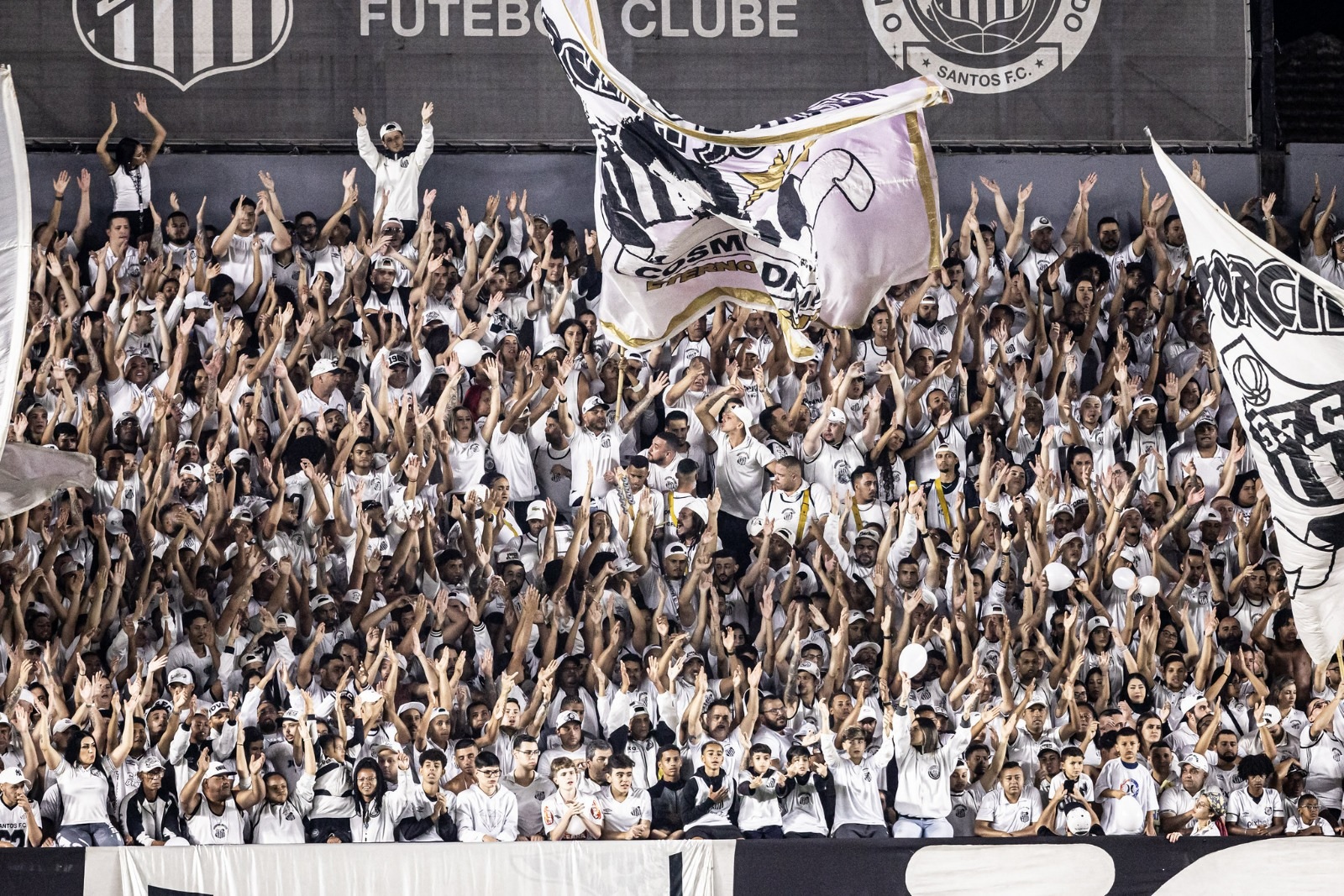 santos-torcida