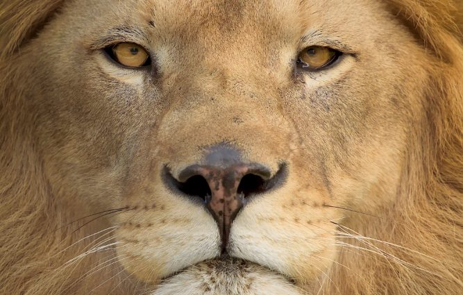 Brazil’s Automated Tax Ambitions Meet Systemic Friction