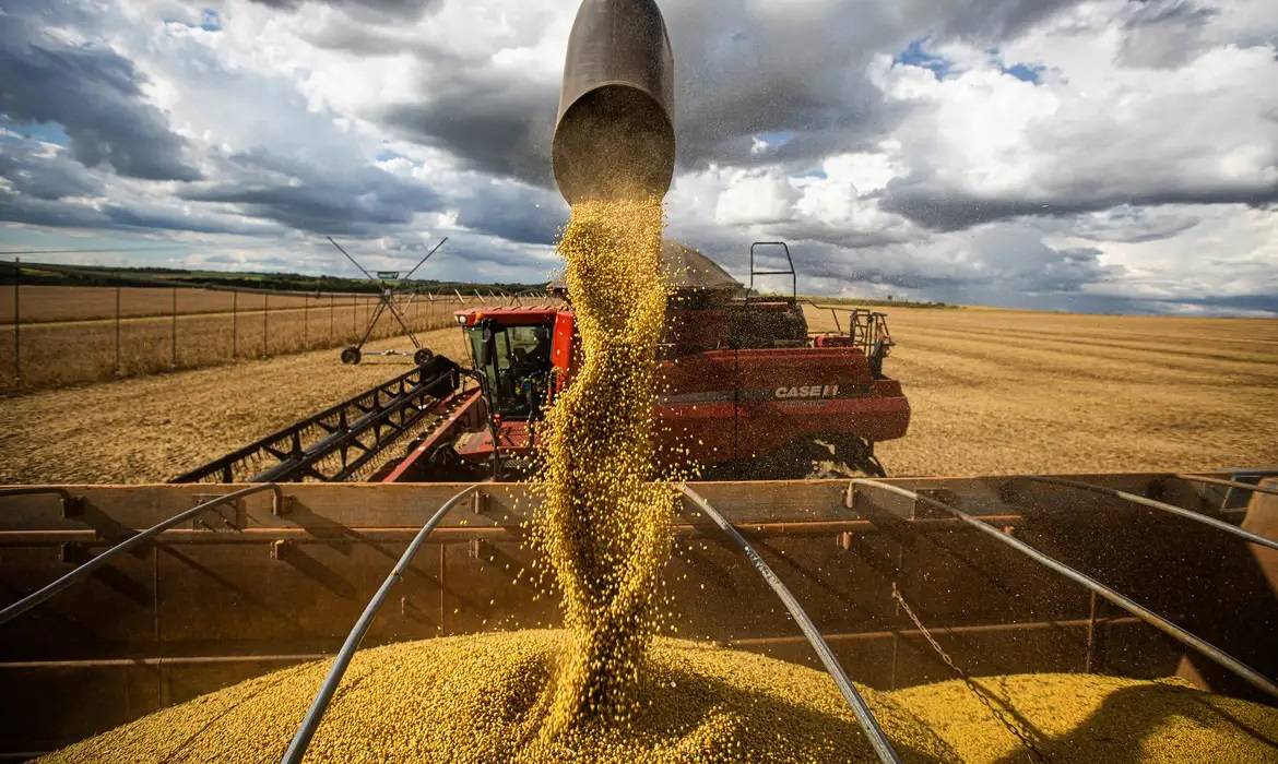 Imagem da matéria